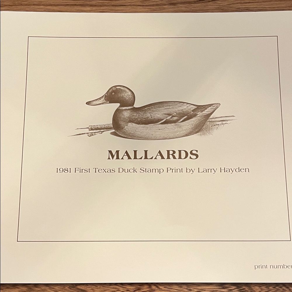 Mallards Duck Stamp Print
